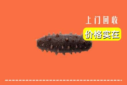 收购资讯:锡林郭勒阿巴嘎回收海参