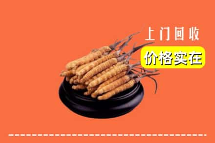 收购资讯:锡林郭勒阿巴嘎回收冬虫夏草