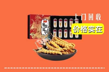 锡林郭勒阿巴嘎回收虫草